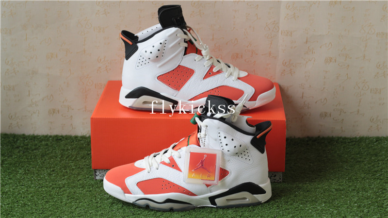 Authentic Air Jordan 6 Gatorade